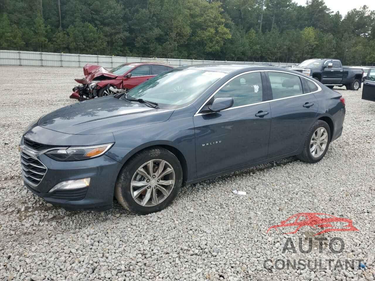 CHEVROLET MALIBU 2019 - 1G1ZD5ST6KF193733