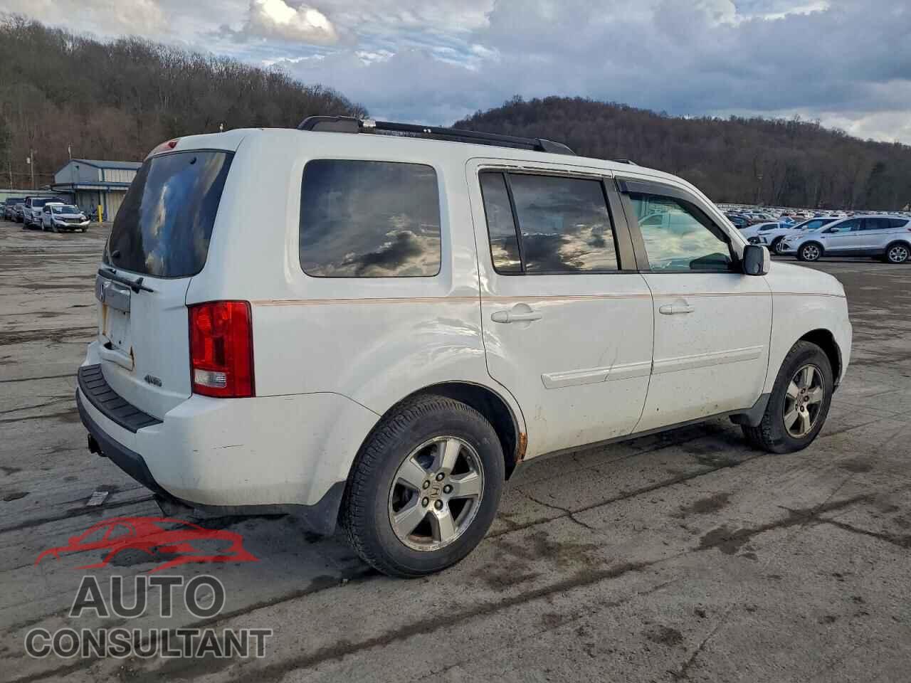 HONDA PILOT 2009 - 5FNYF48619B028504