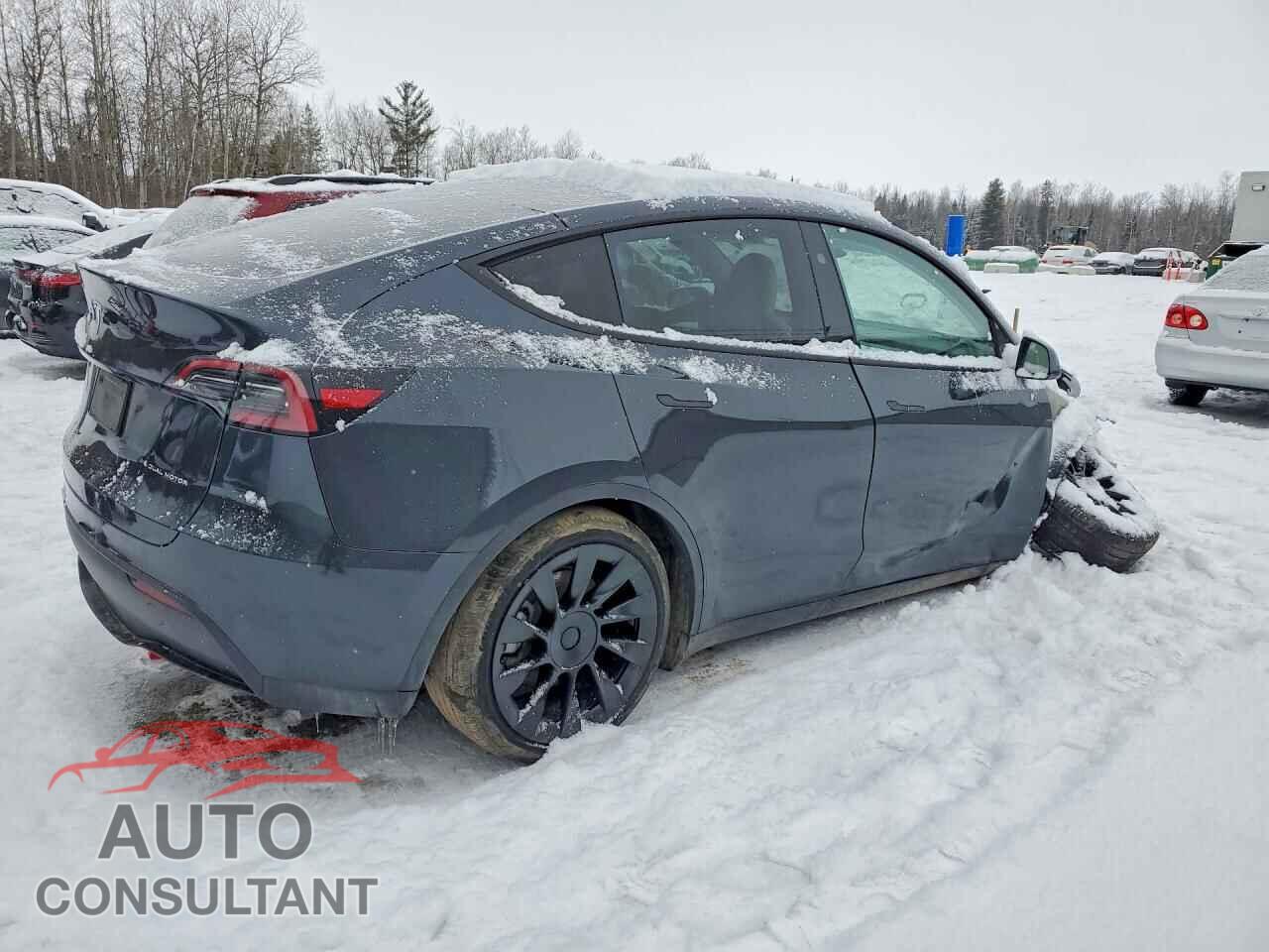 TESLA MODEL Y 2024 - 7SAYGDEE7RF230579