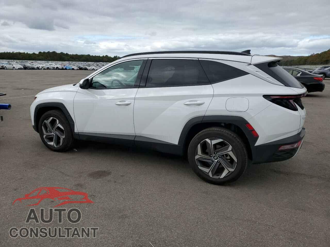 HYUNDAI TUCSON 2024 - 5NMJECDE4RH395102