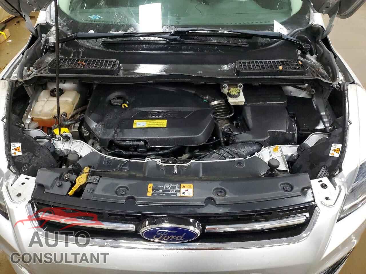 FORD ESCAPE 2014 - 1FMCU0JX4EUD08166