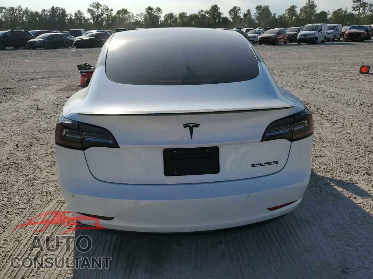 TESLA MODEL 3 2019 - 5YJ3E1EB3KF487228