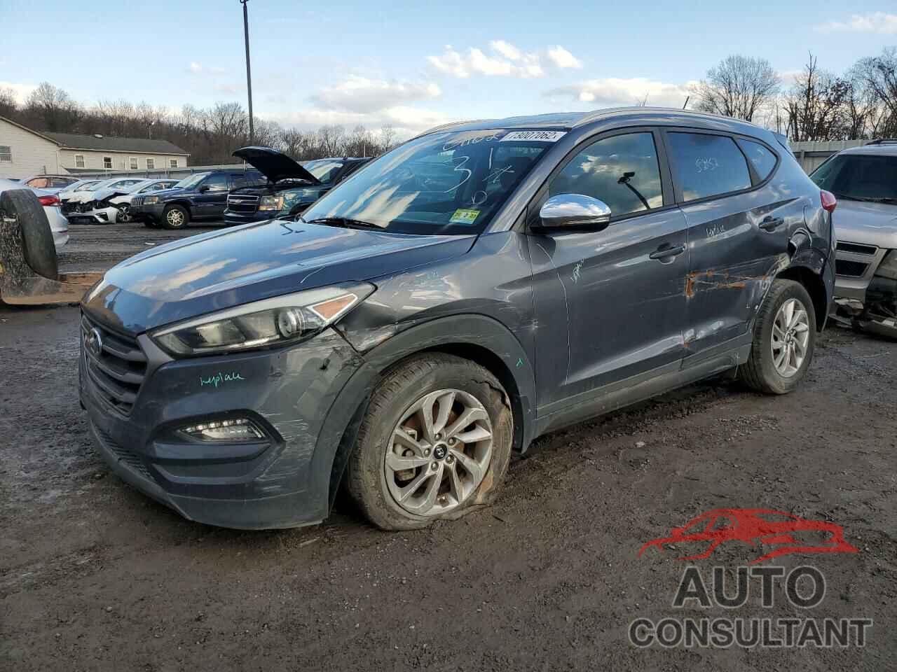 HYUNDAI TUCSON 2016 - KM8J33A23GU031075