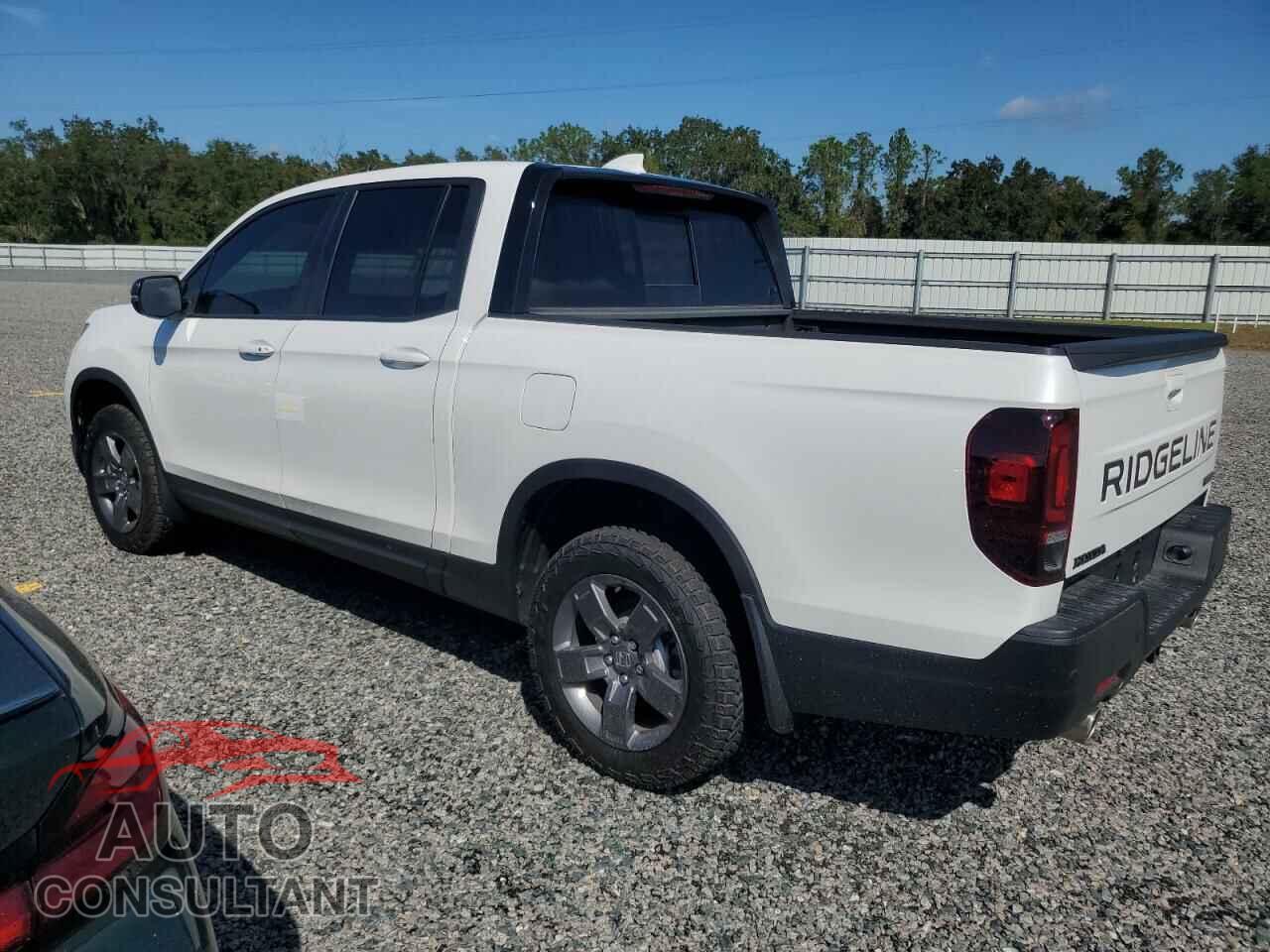 HONDA RIDGELINE 2024 - 5FPYK3F63RB005077