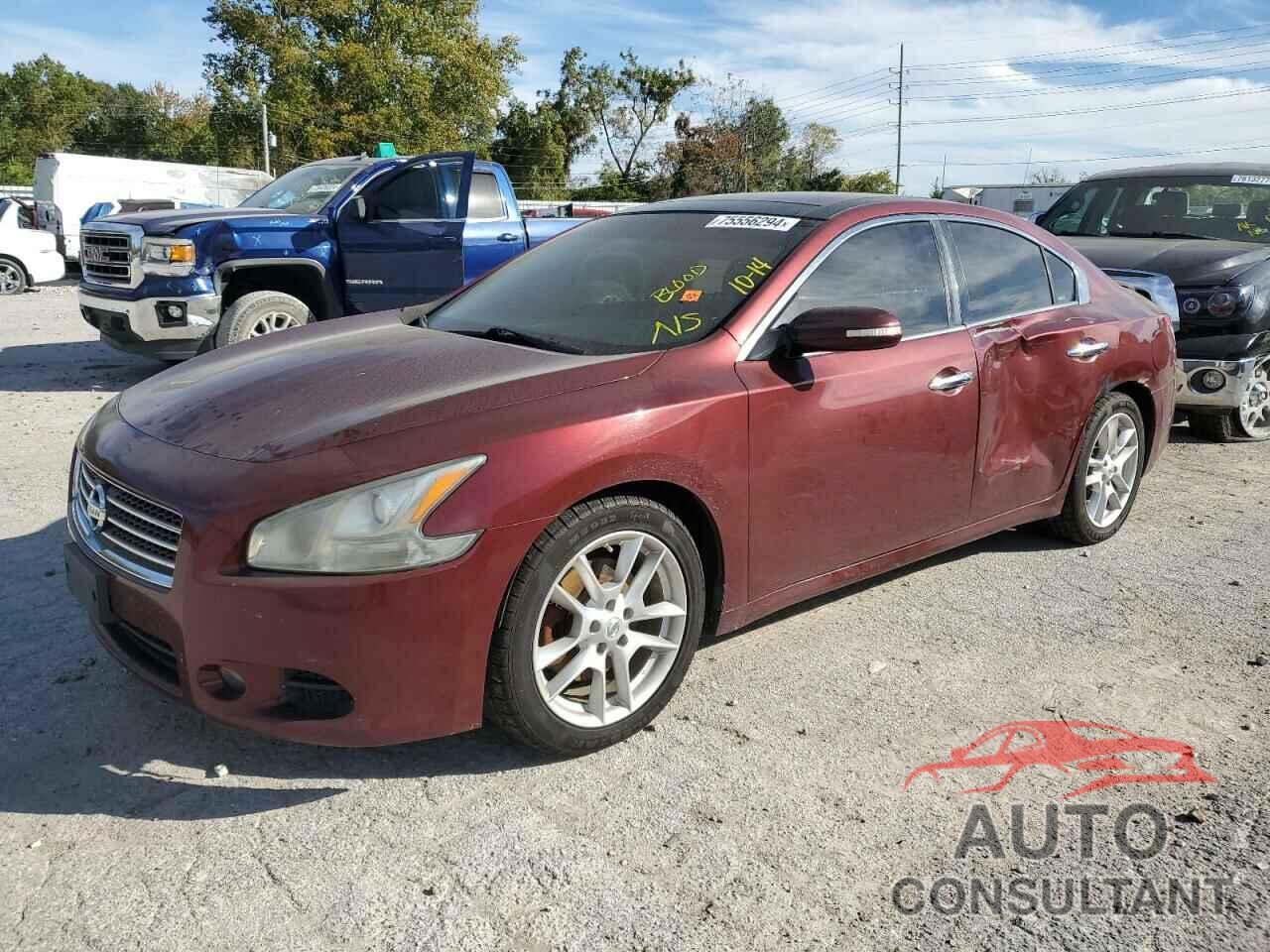 NISSAN MAXIMA 2011 - 1N4AA5AP8BC843056