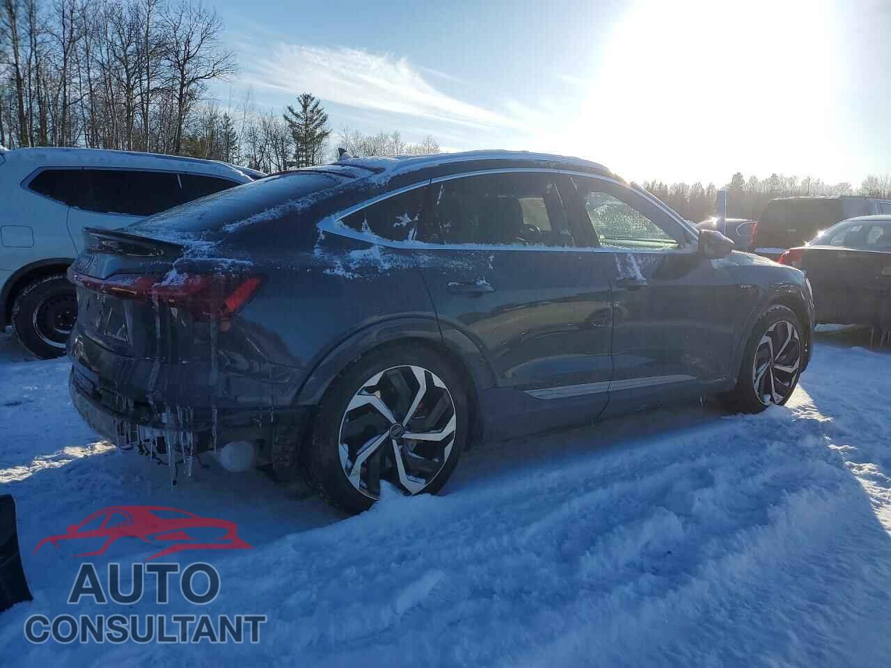 AUDI E-TRON 2020 - WA13AAGE0LB033245