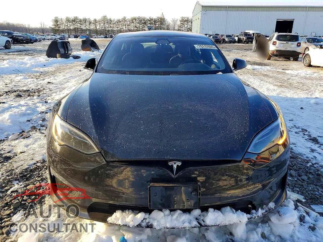 TESLA MODEL S 2023 - 5YJSA1E53PF506899