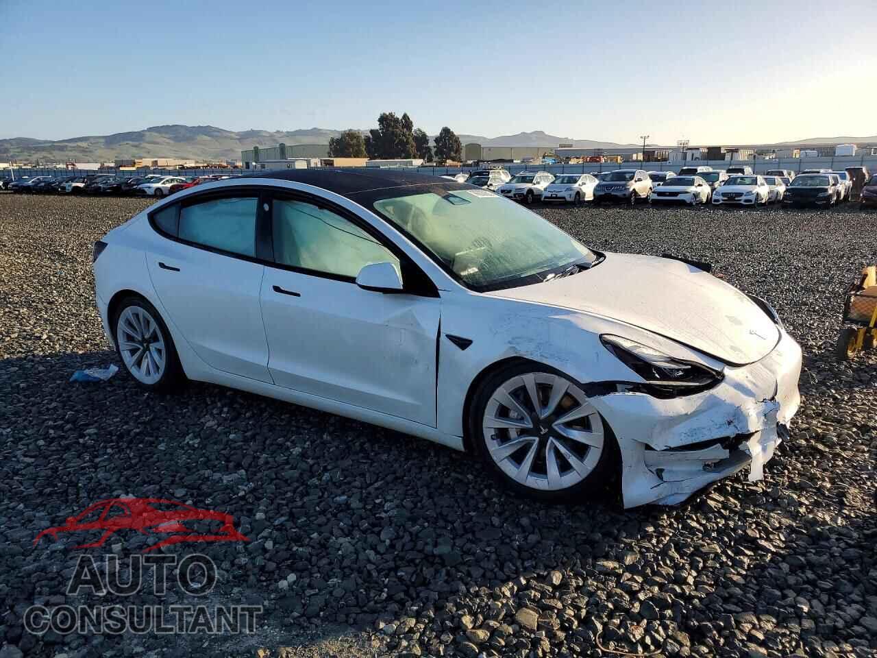 TESLA MODEL 3 2023 - 5YJ3E1EA8PF487594