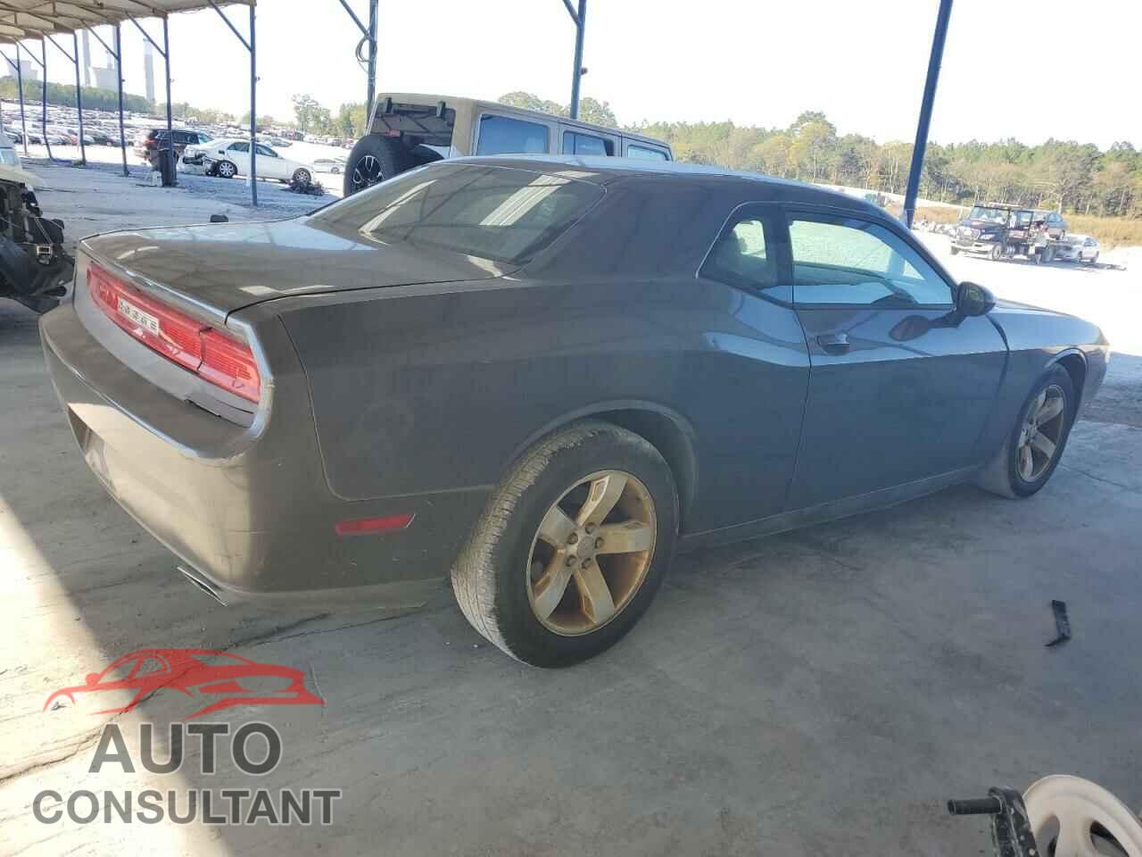 DODGE CHALLENGER 2013 - 2C3CDYAG6DH704379
