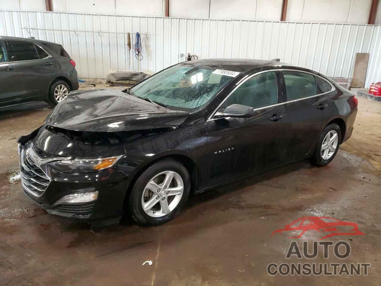 CHEVROLET MALIBU 2019 - 1G1ZC5ST7KF112581