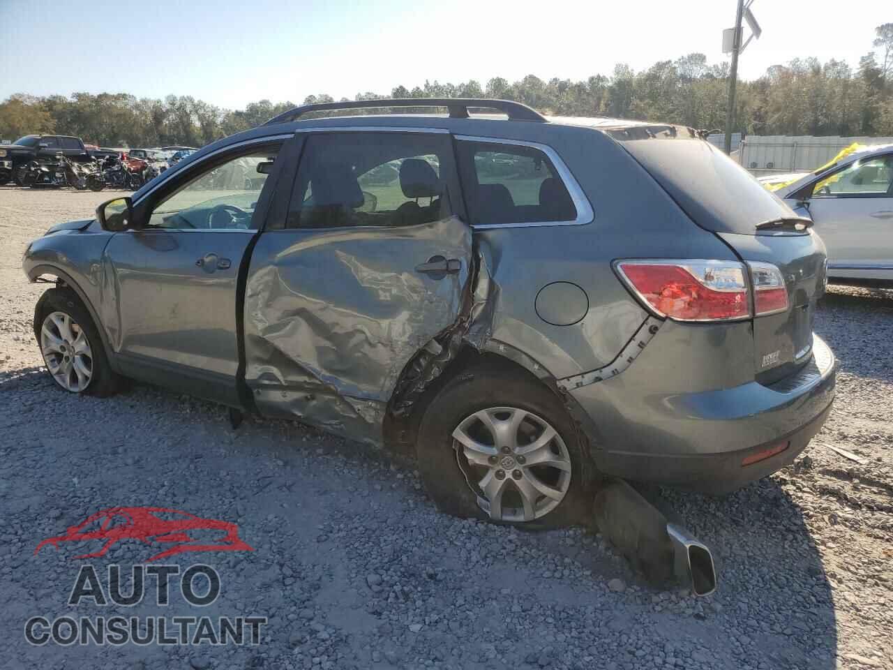MAZDA CX-9 2011 - JM3TB2BA8B0307676