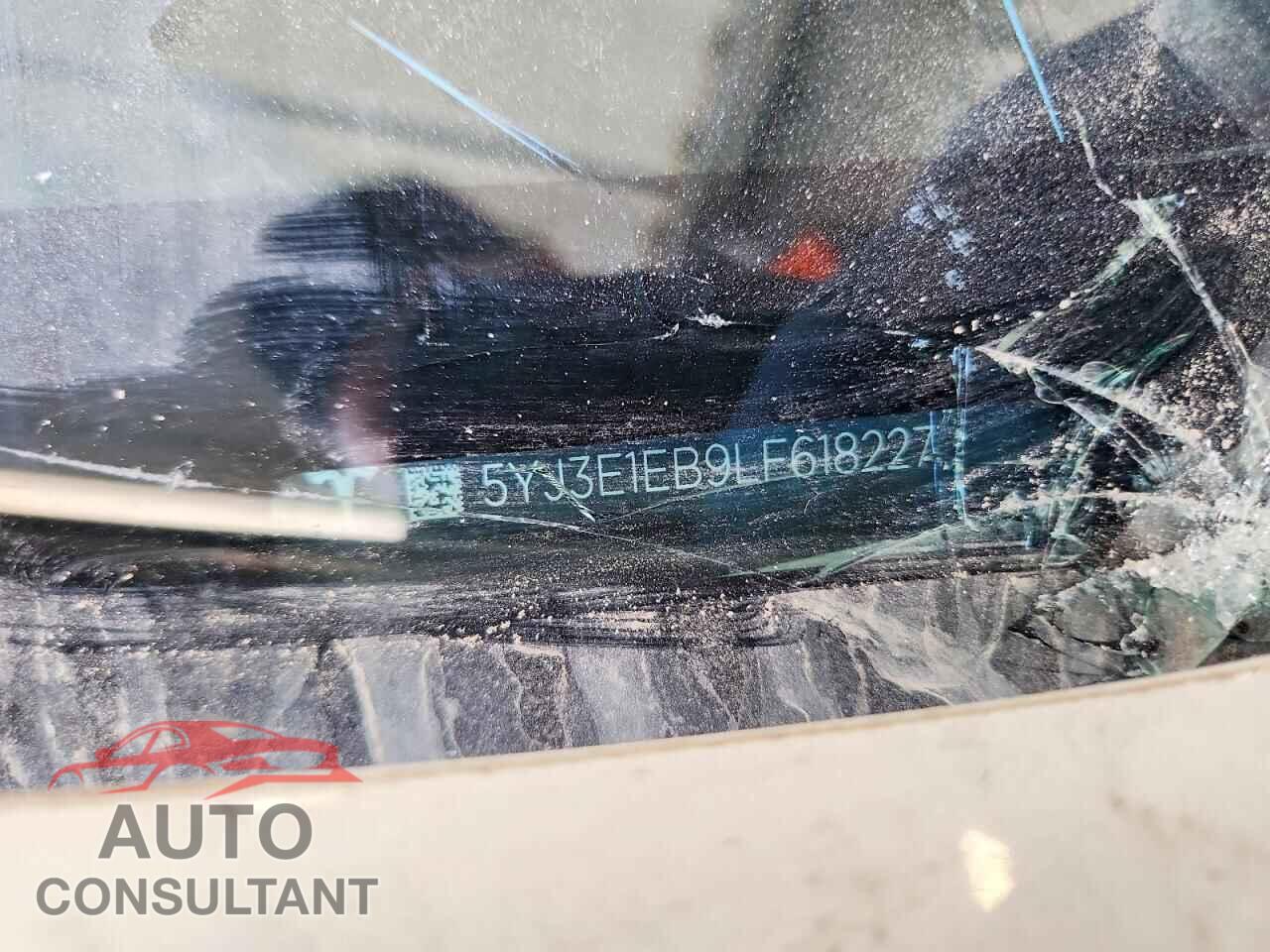 TESLA MODEL 3 2020 - 5YJ3E1EB9LF618227