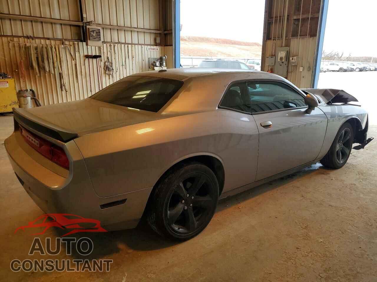 DODGE CHALLENGER 2013 - 2C3CDYAG1DH646875