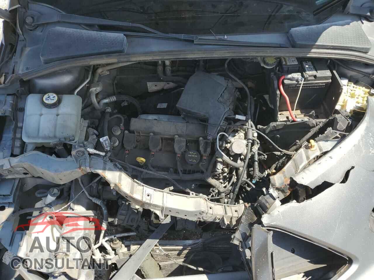 FORD FOCUS 2014 - 1FADP3F2XEL242023