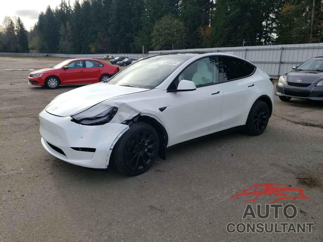 TESLA MODEL Y 2024 - 7SAYGAEE1RF190241