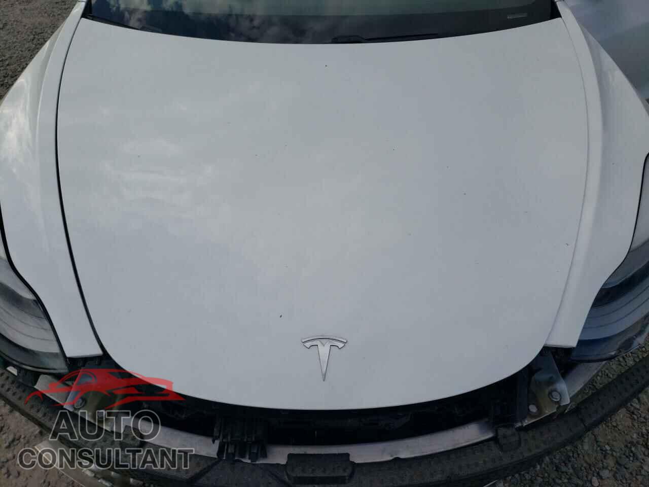TESLA MODEL 3 2021 - 5YJ3E1EA8MF989601