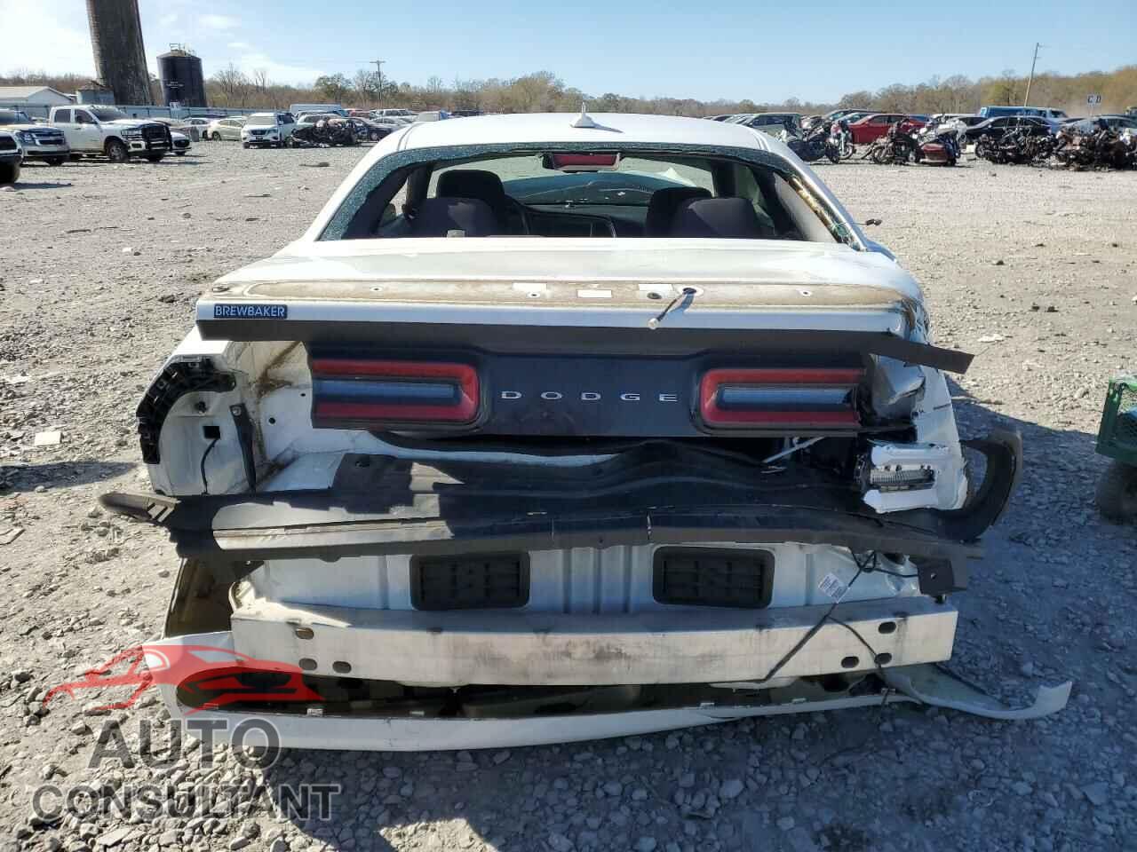 DODGE CHALLENGER 2019 - 2C3CDZAG3KH751923