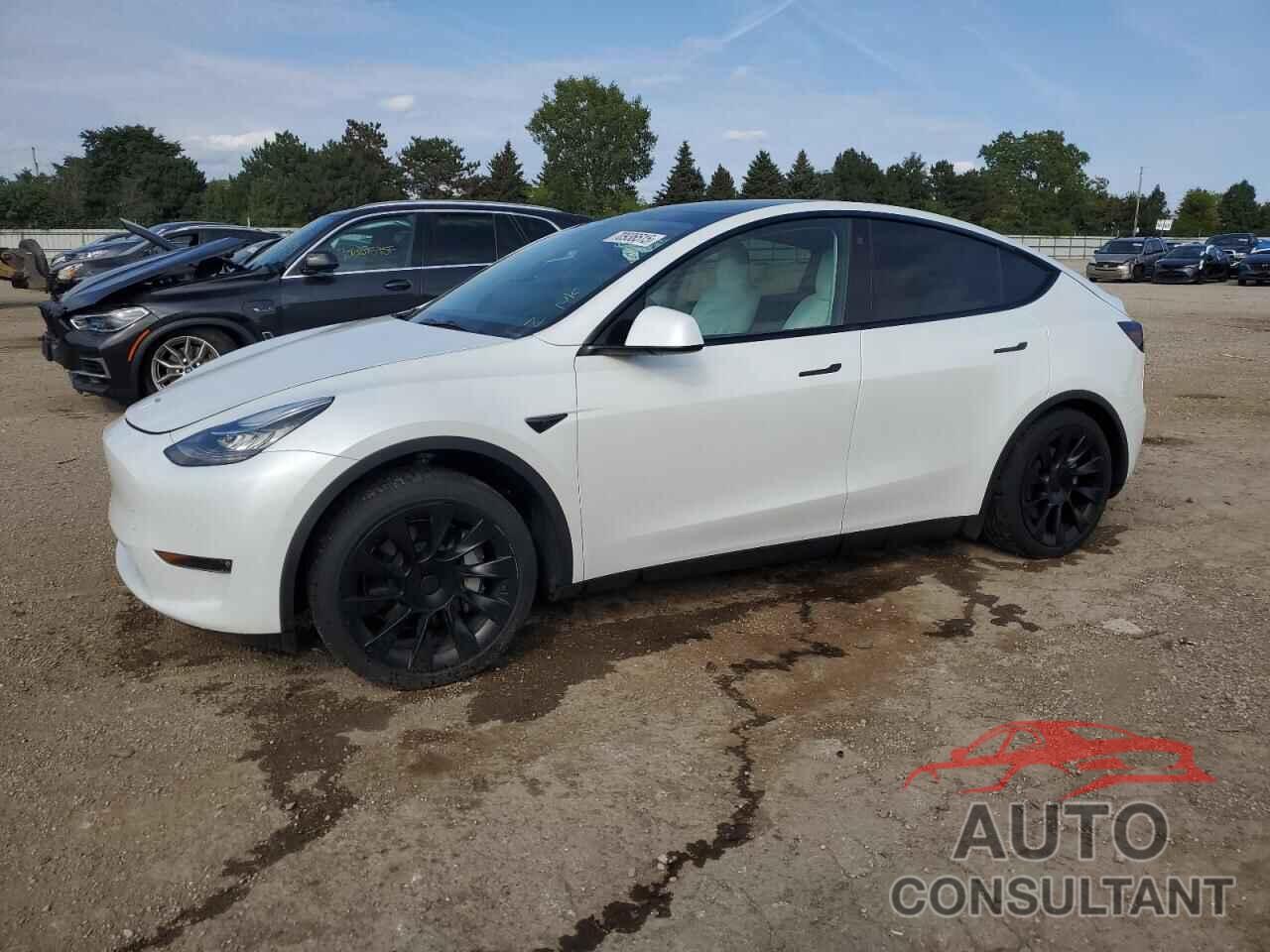 TESLA MODEL Y 2021 - 5YJYGDEE7MF301835