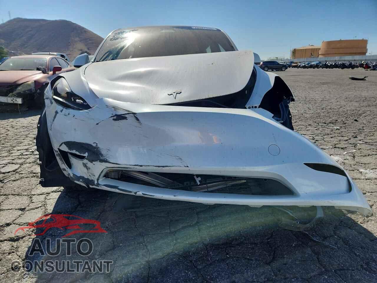 TESLA MODEL Y 2024 - 7SAYGDED4RF105675