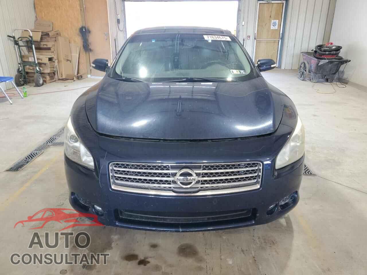 NISSAN MAXIMA 2009 - 1N4AA51E09C822145