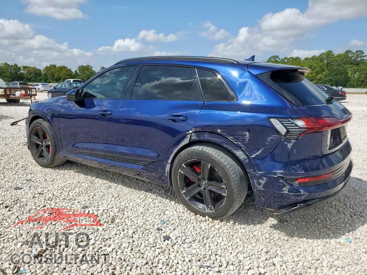 AUDI E-TRON 2021 - WA1AAAGE1MB008976