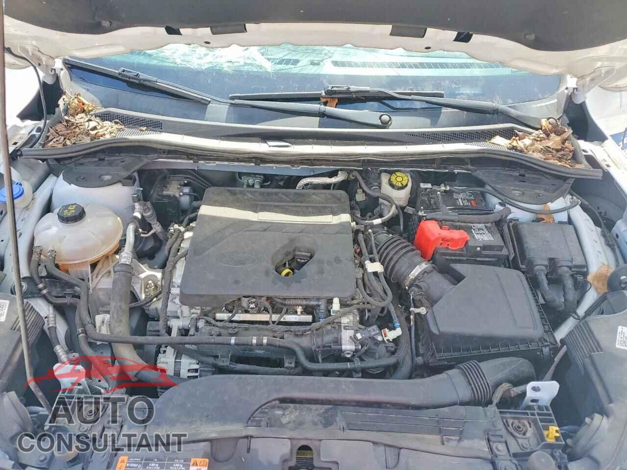 FORD ESCAPE 2020 - 1FMCU0F60LUB57405