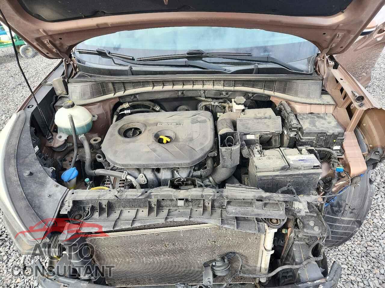 HYUNDAI TUCSON 2017 - KM8J33A41HU426357