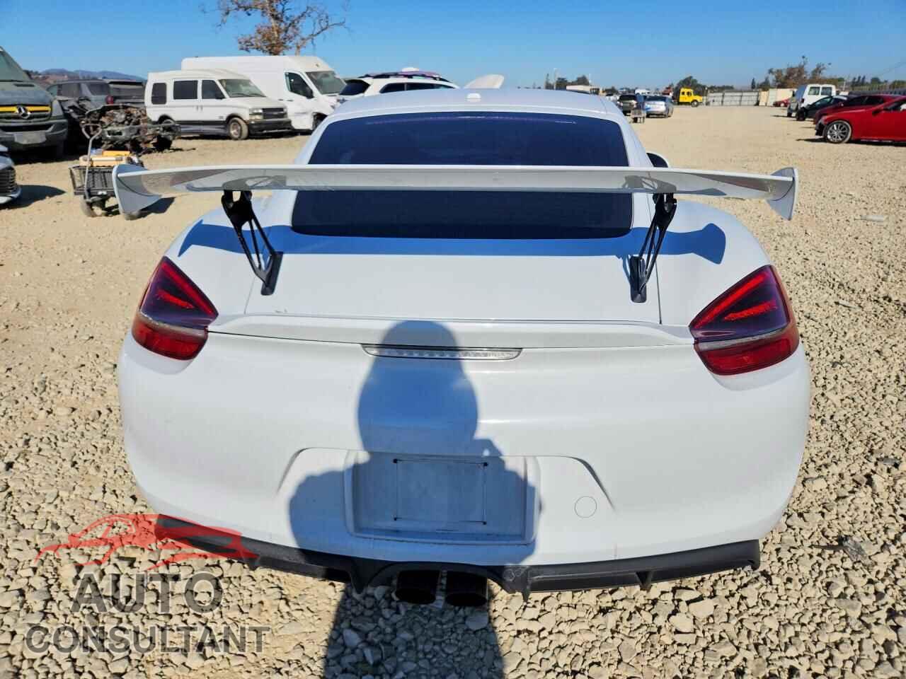 PORSCHE CAYMAN 2016 - WP0AC2A84GK191612