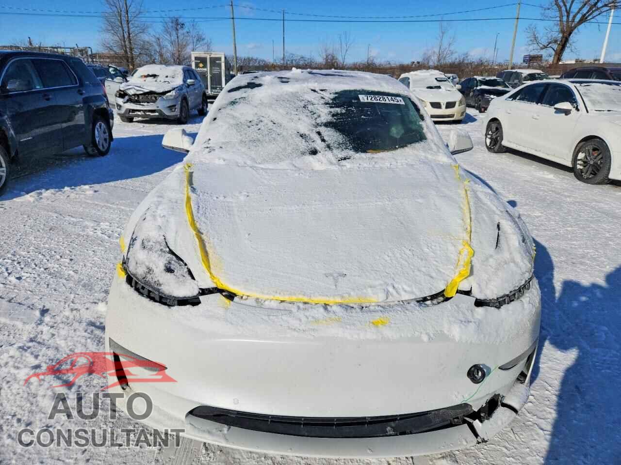 TESLA MODEL 3 2021 - 5YJ3E1EA1MF082737