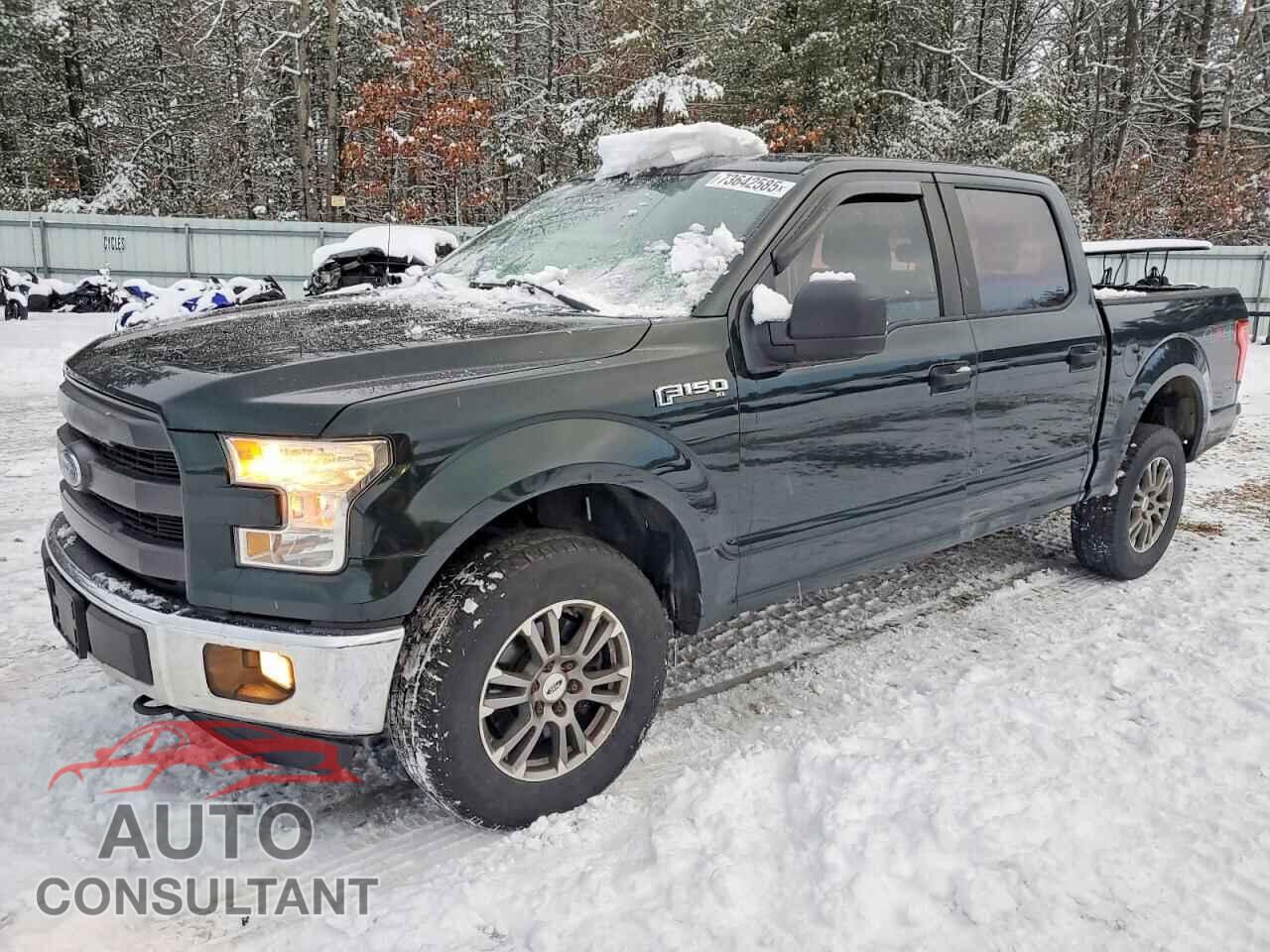 FORD F-150 2016 - 1FTEW1E86GFB33362