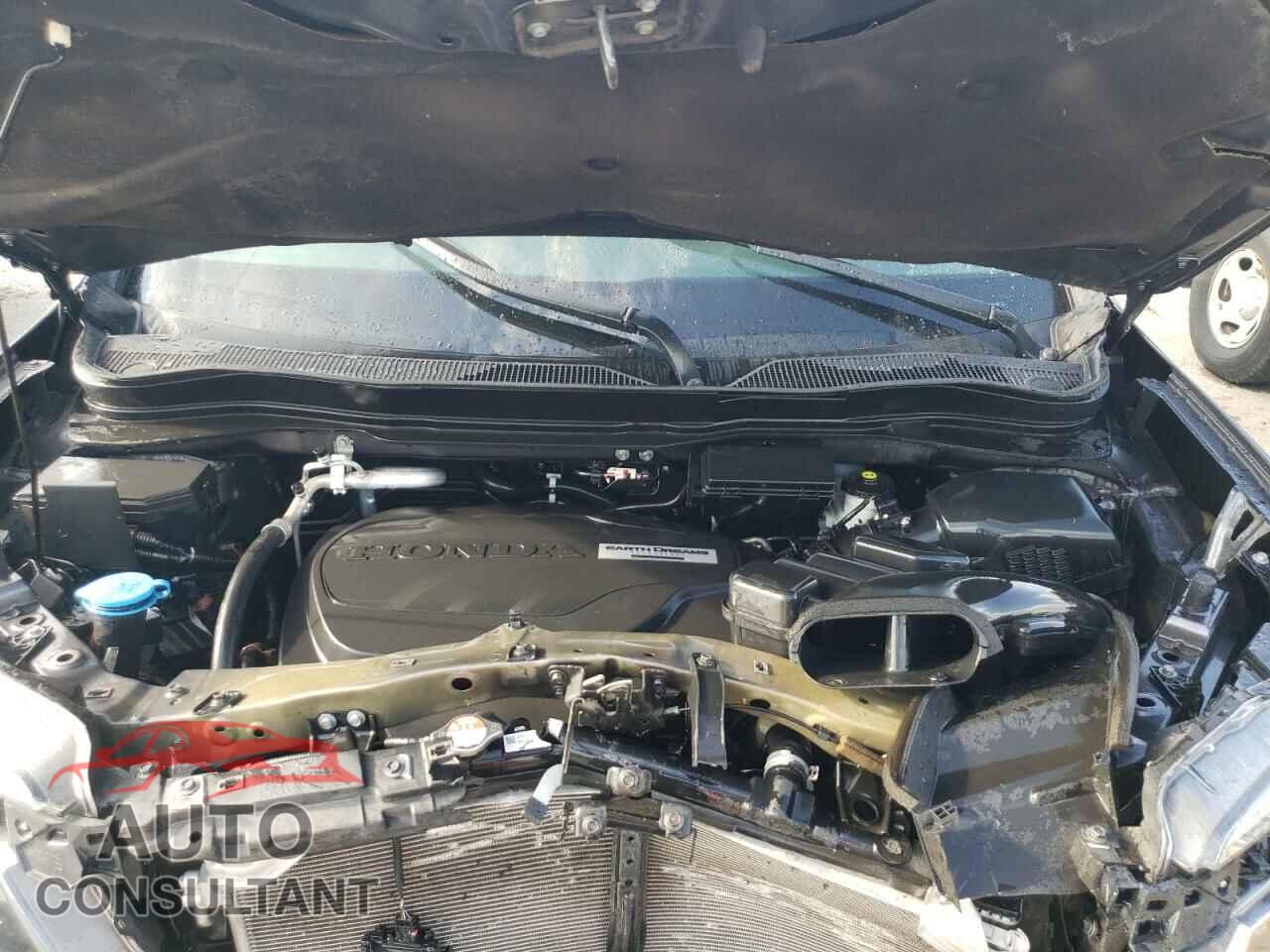 HONDA PILOT 2019 - 5FNYF5H57KB024282