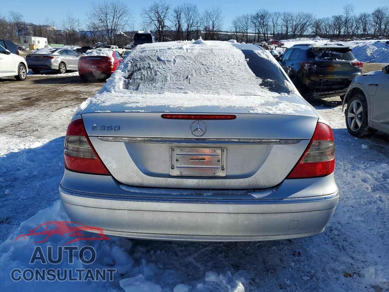 MERCEDES-BENZ E-CLASS 2009 - WDBUF56X89B361980