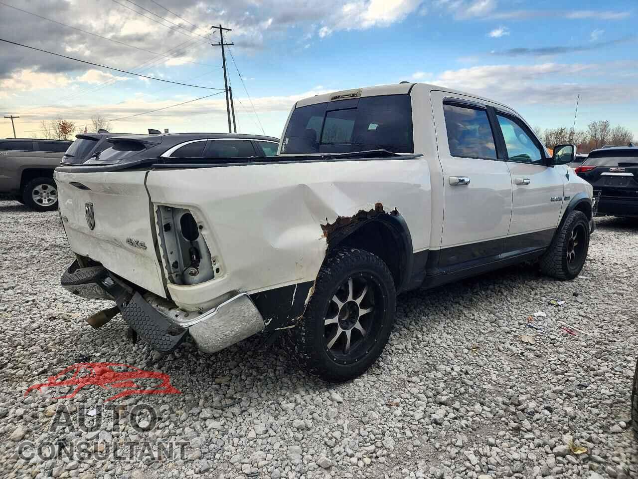 DODGE RAM 1500 2009 - 1D3HV13T89S746771
