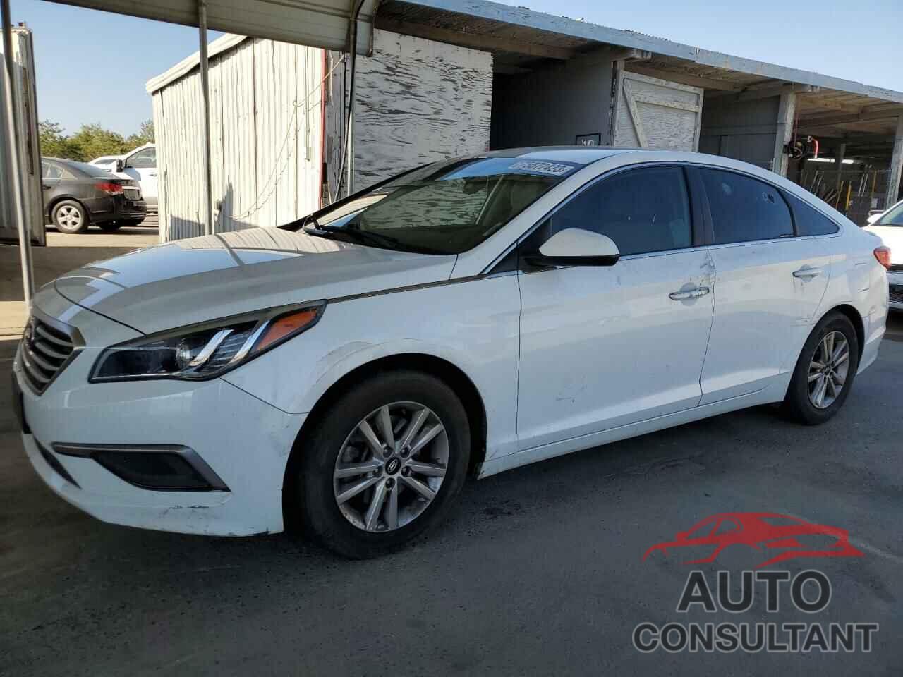 HYUNDAI SONATA 2017 - 5NPE24AF7HH569520