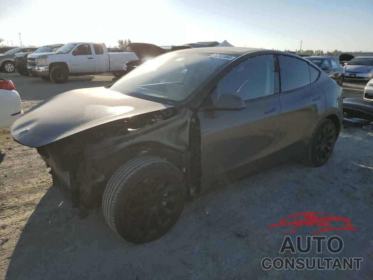 TESLA MODEL Y 2021 - 5YJYGDEE0MF174328