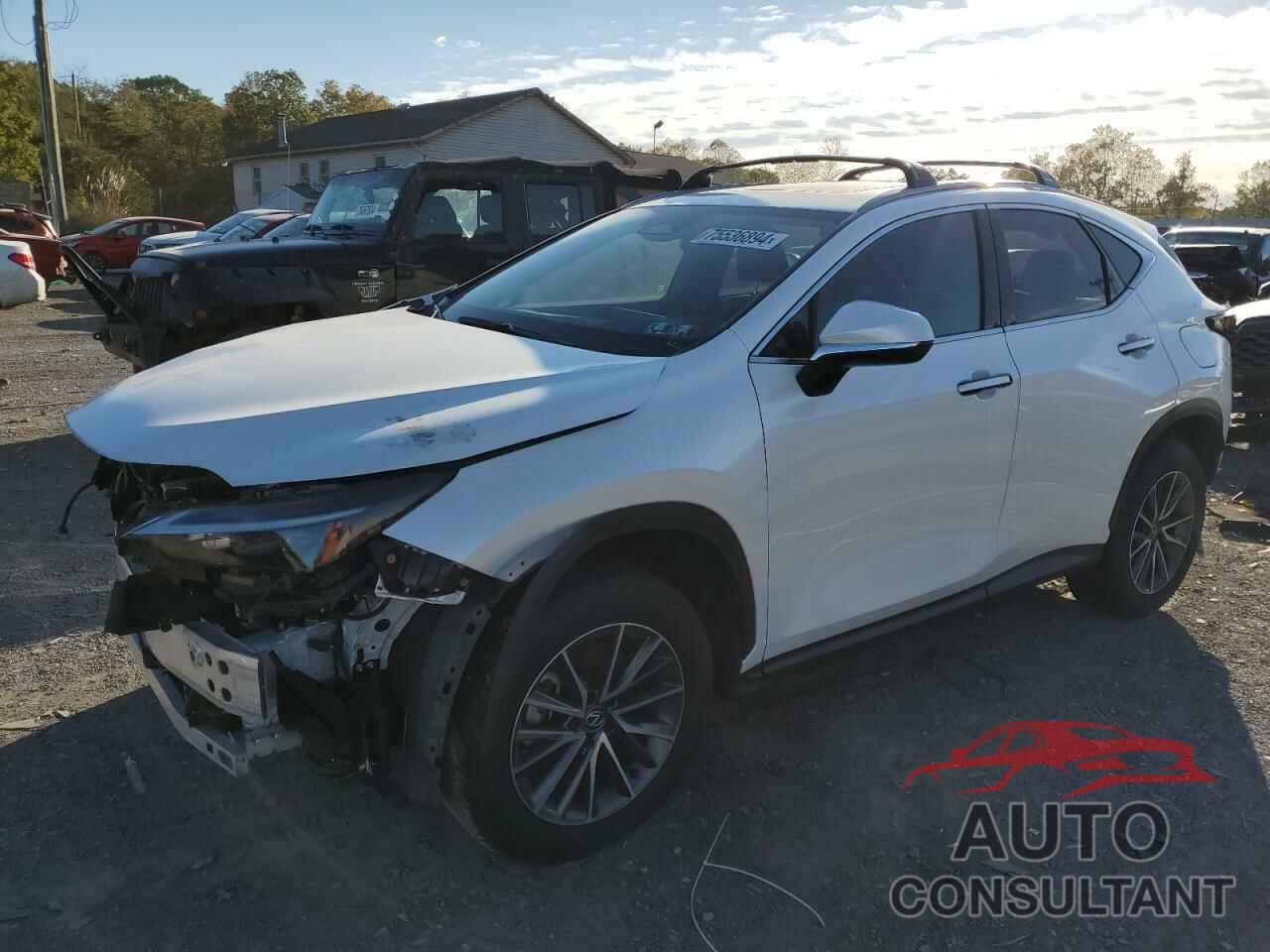 LEXUS NX 350H BA 2024 - JTJGKCEZ0R5018240