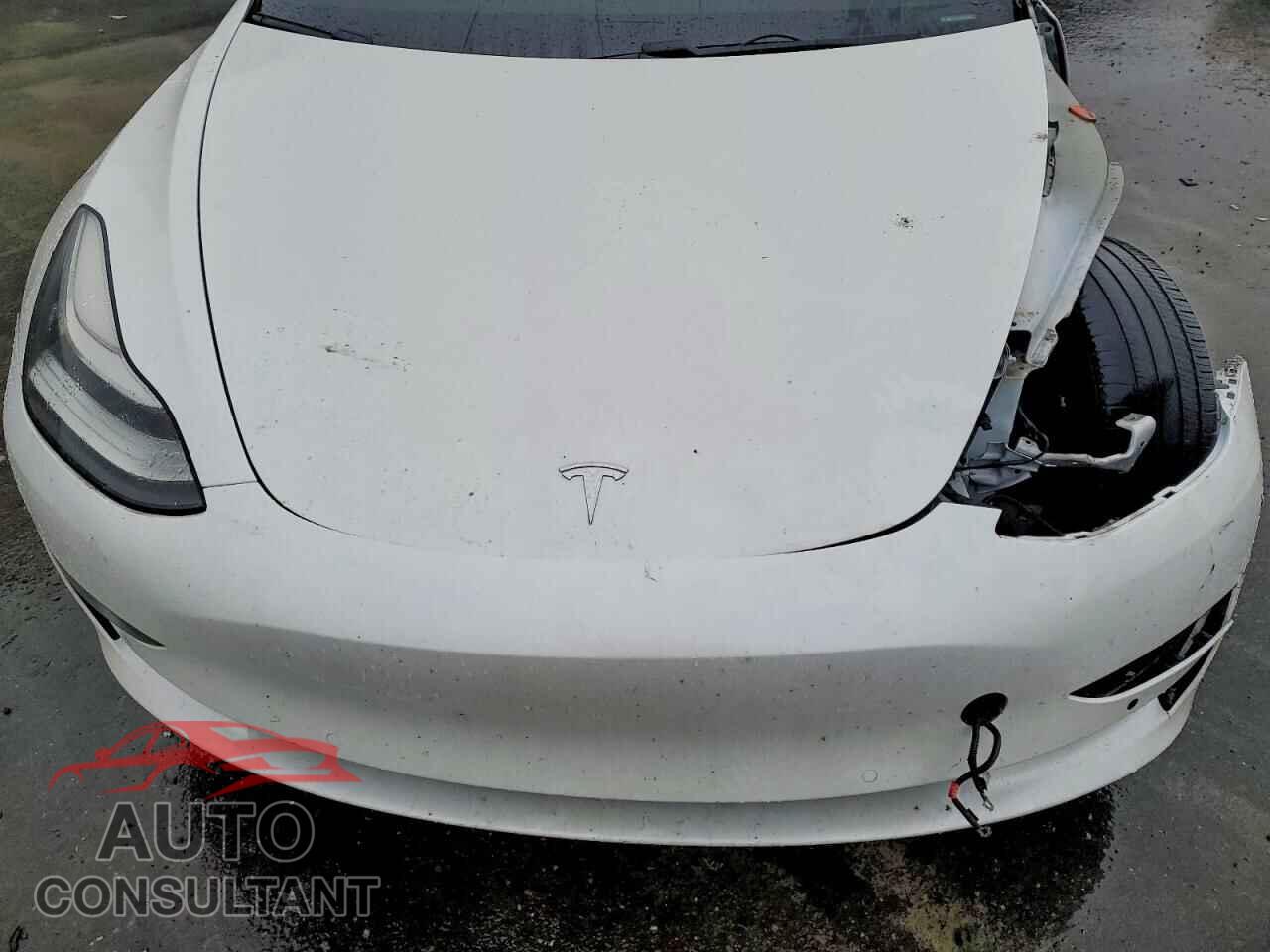 TESLA MODEL 3 2019 - 5YJ3E1EA6KF310180
