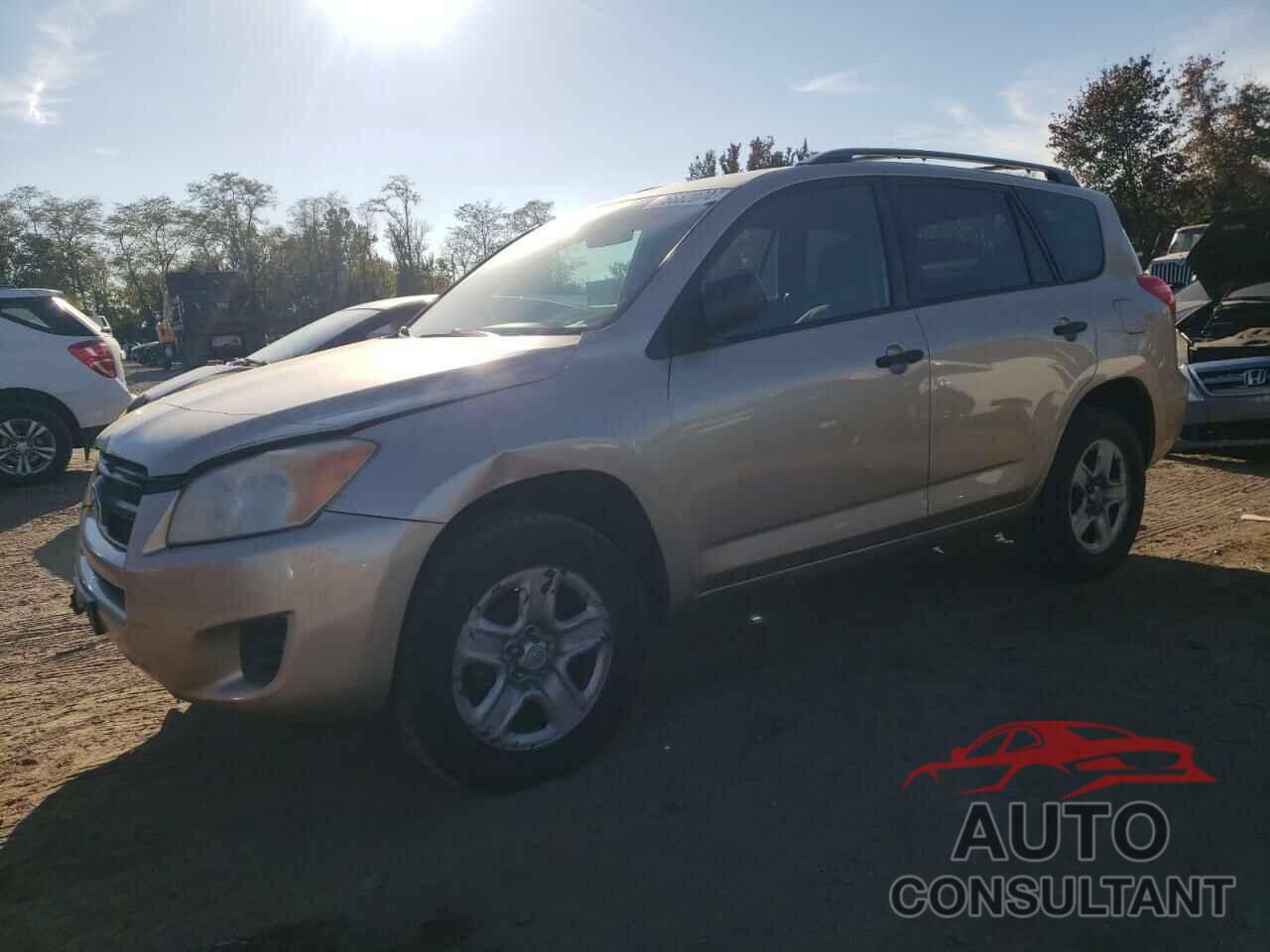 TOYOTA RAV4 2011 - 2T3BF4DV5BW167134