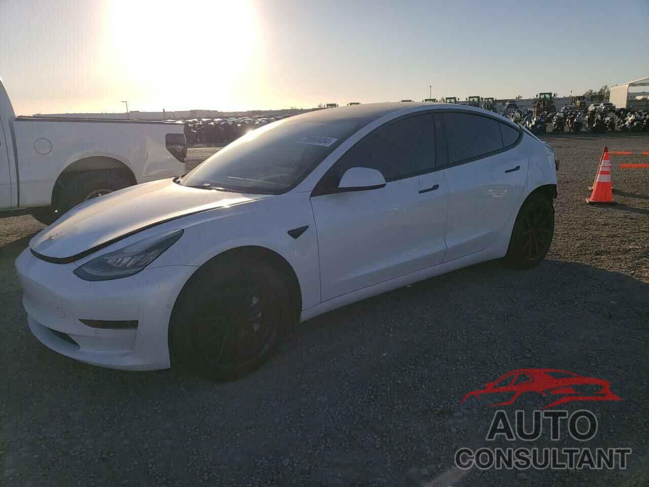 TESLA MODEL 3 2019 - 5YJ3E1EA1KF464683