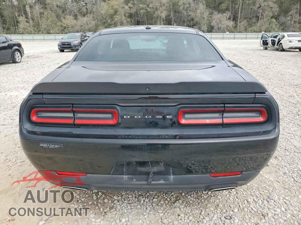 DODGE CHALLENGER 2019 - 2C3CDZAG4KH551455