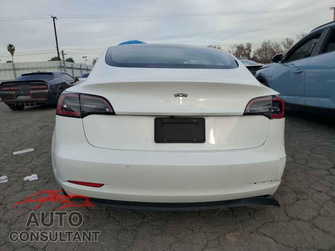 TESLA MODEL 3 2019 - 5YJ3E1EA1KF484531