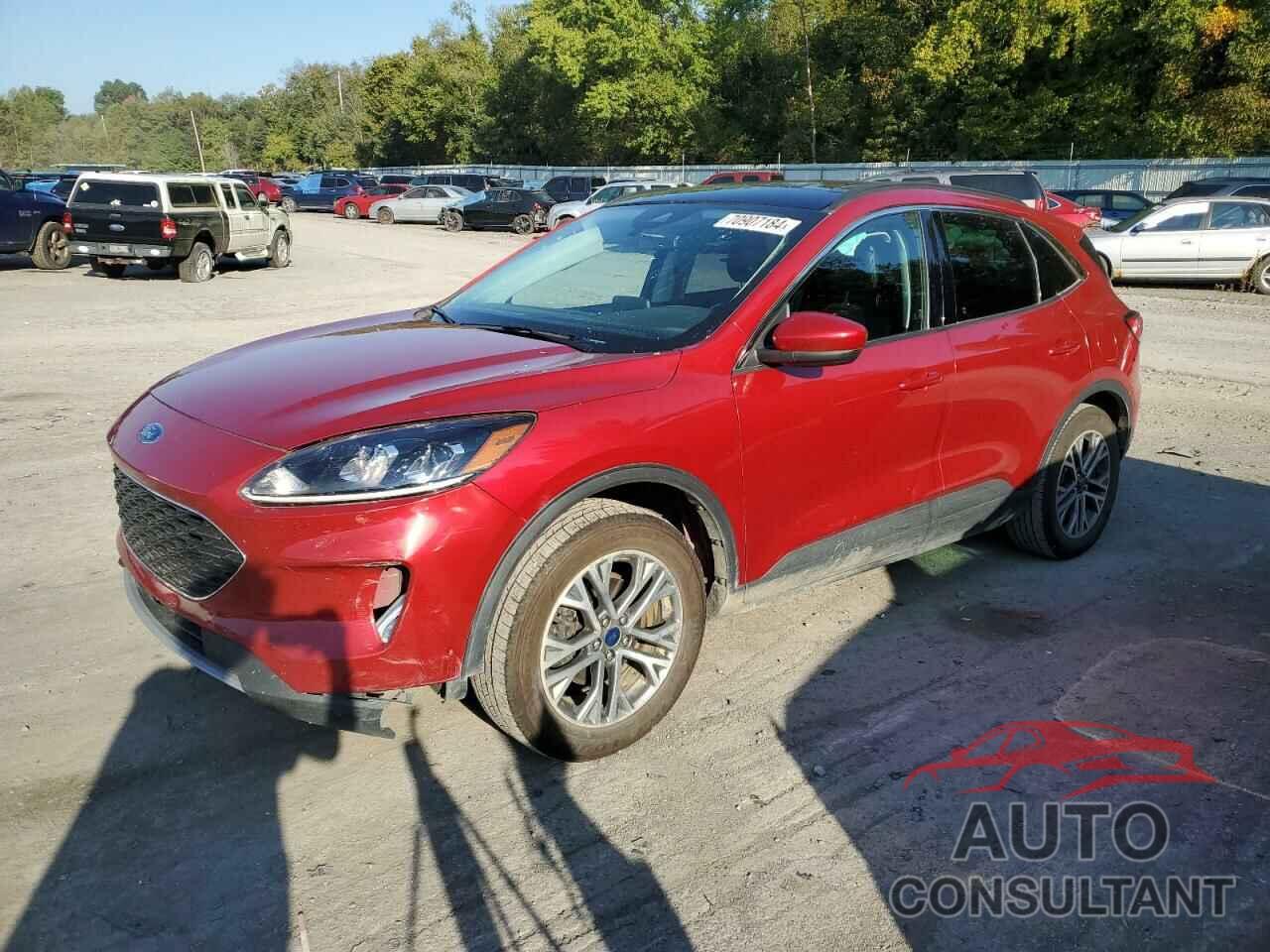 FORD ESCAPE 2022 - 1FMCU9H66NUA73397