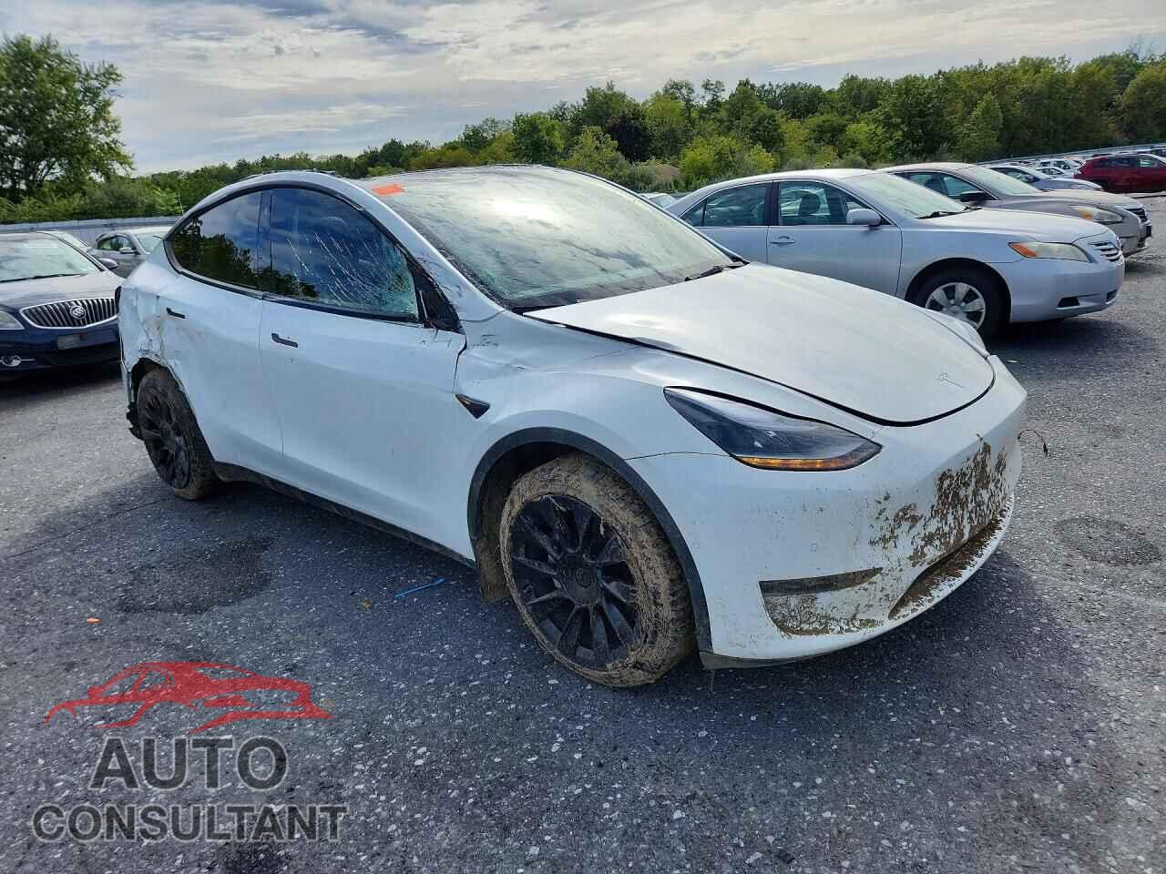 TESLA MODEL Y 2022 - 7SAYGDEEXNF393401