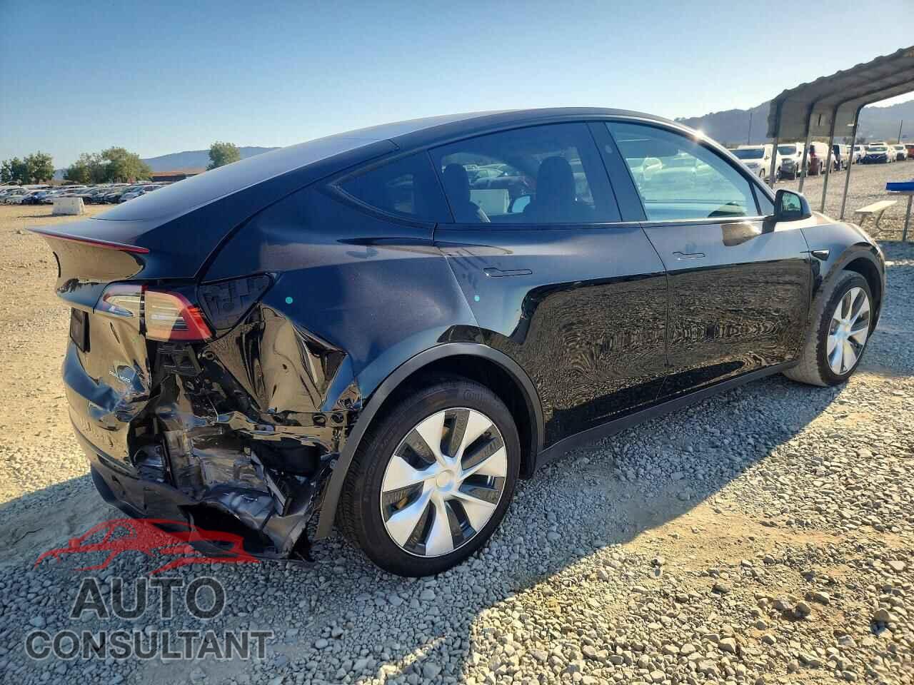 TESLA MODEL Y 2024 - 7SAYGDEE1RF032502