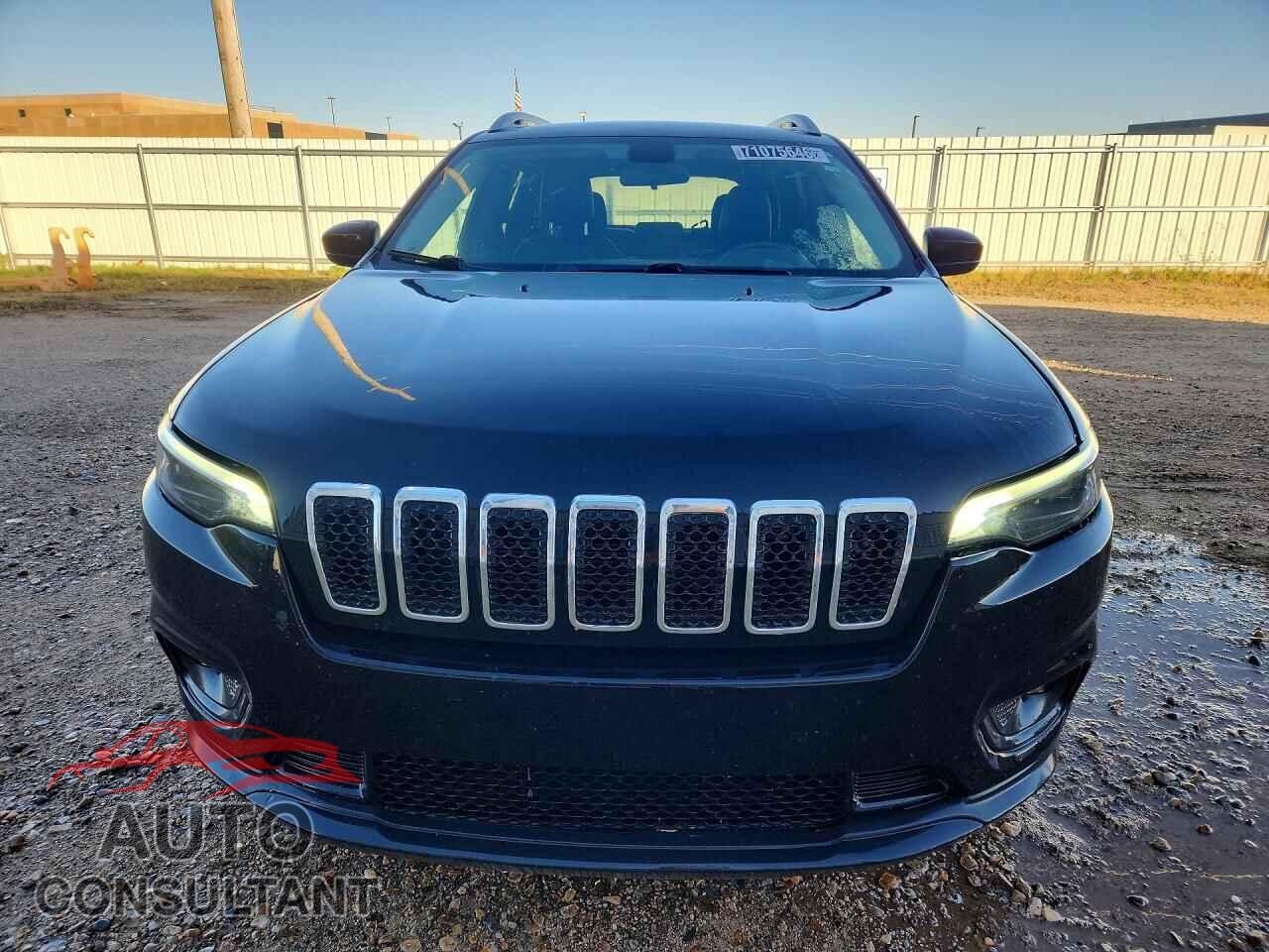 JEEP CHEROKEE 2019 - 1C4PJMLB9KD181899