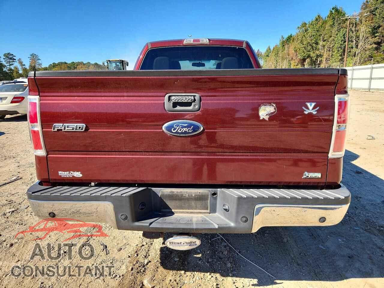 FORD F150 2010 - 1FTFX1EV1AFD63308