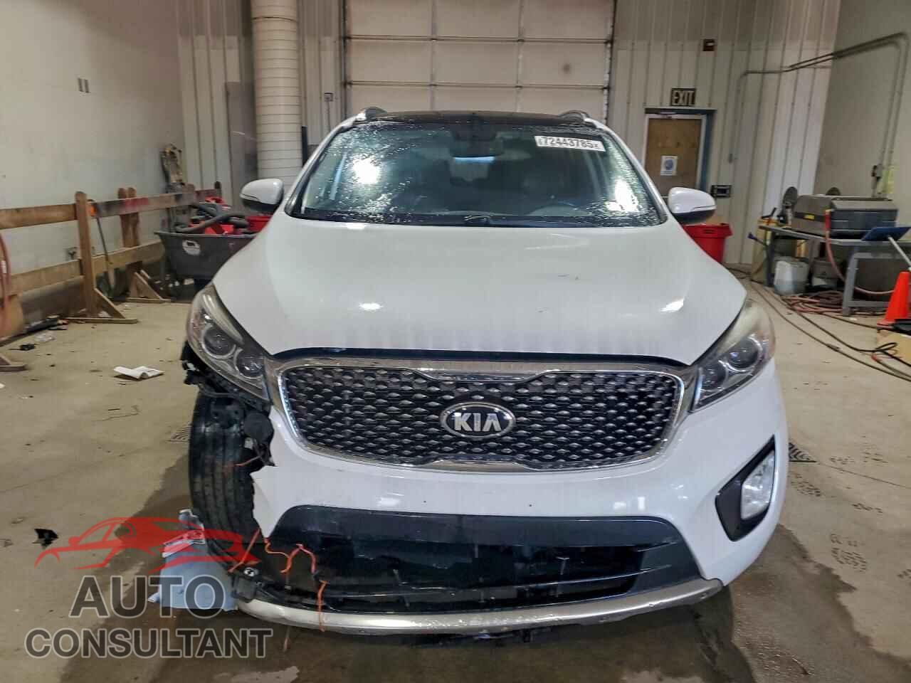 KIA SORENTO 2016 - 5XYPKDA56GG100392