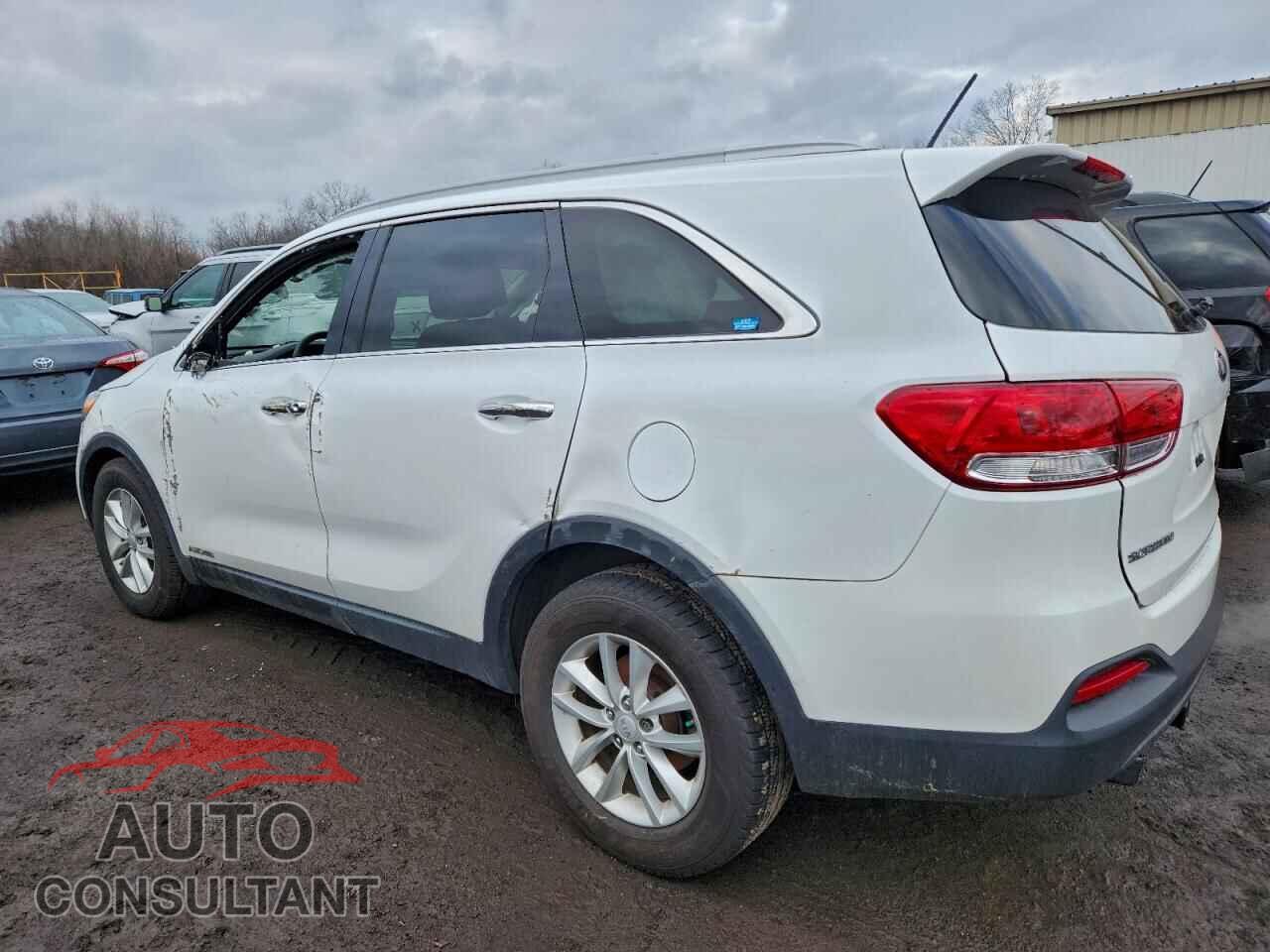 KIA SORENTO 2017 - 5XYPGDA52HG240569