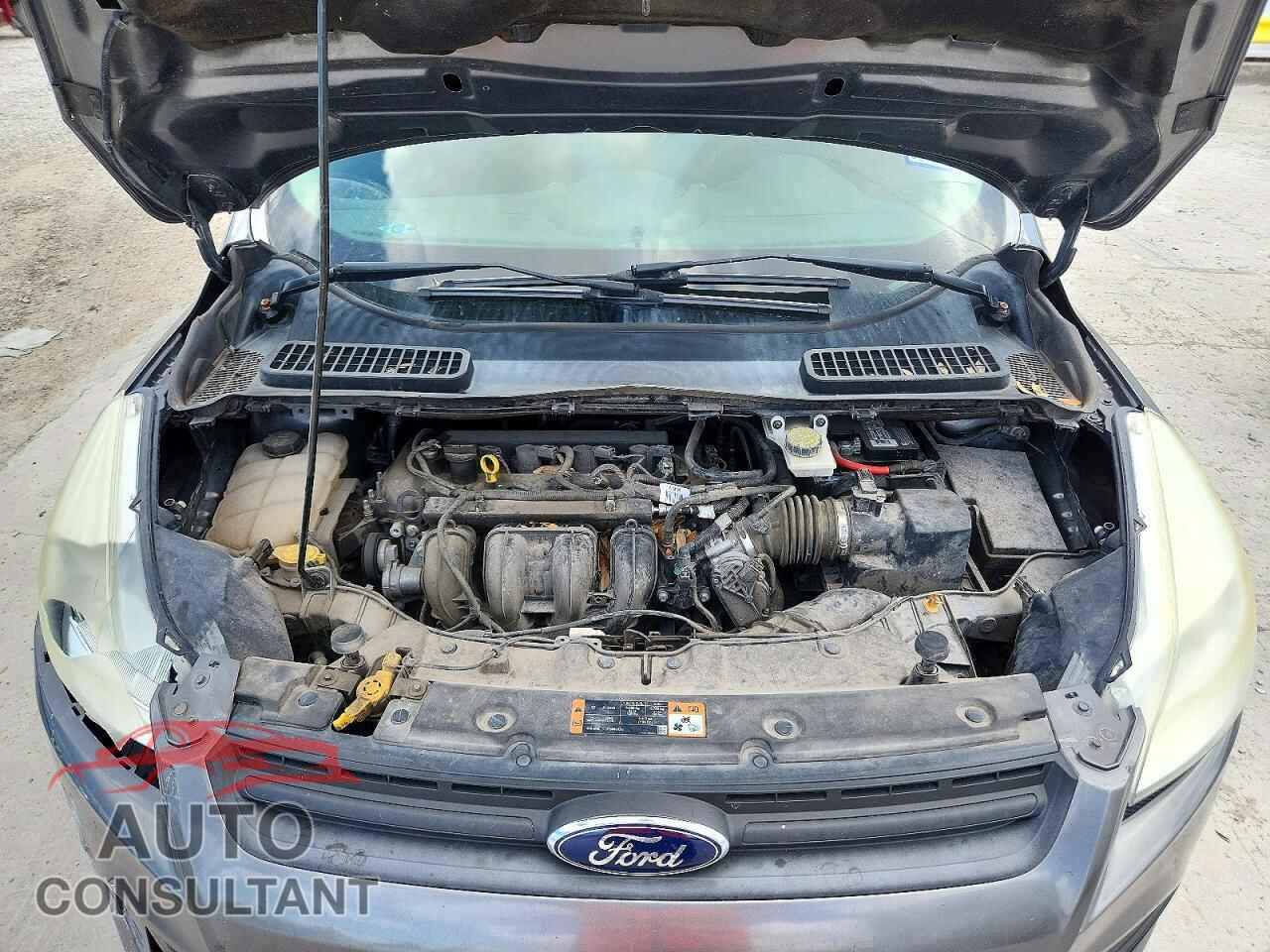 FORD ESCAPE 2014 - 1FMCU0F70EUC44460