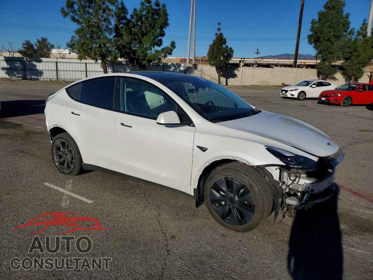 TESLA MODEL Y 2024 - 7SAYGDED8RF153048